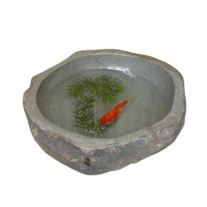 category image of the category “Zen & Water”