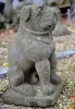  Product image 1 of the product “Seat bulldog on pedestal, about 60cm high ”