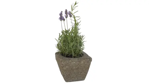 Product image of the product “Planter, square, smooth, 15x15x12,5 cm, natural stone (Basanite), stonemasonry ”