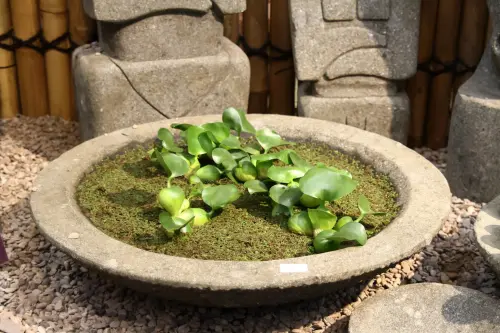 Product image of the product “Bowl model „Lotus“, bossed outer surface, 50x50x14 cm  Natural stone (Basanit), ”