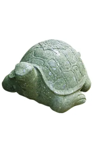Product image of the product “Turtle, ca 45cm long, natural finish ”