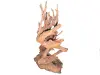  Product image 2 of the product “Deco from teak root. Approx. 145cm height ”
