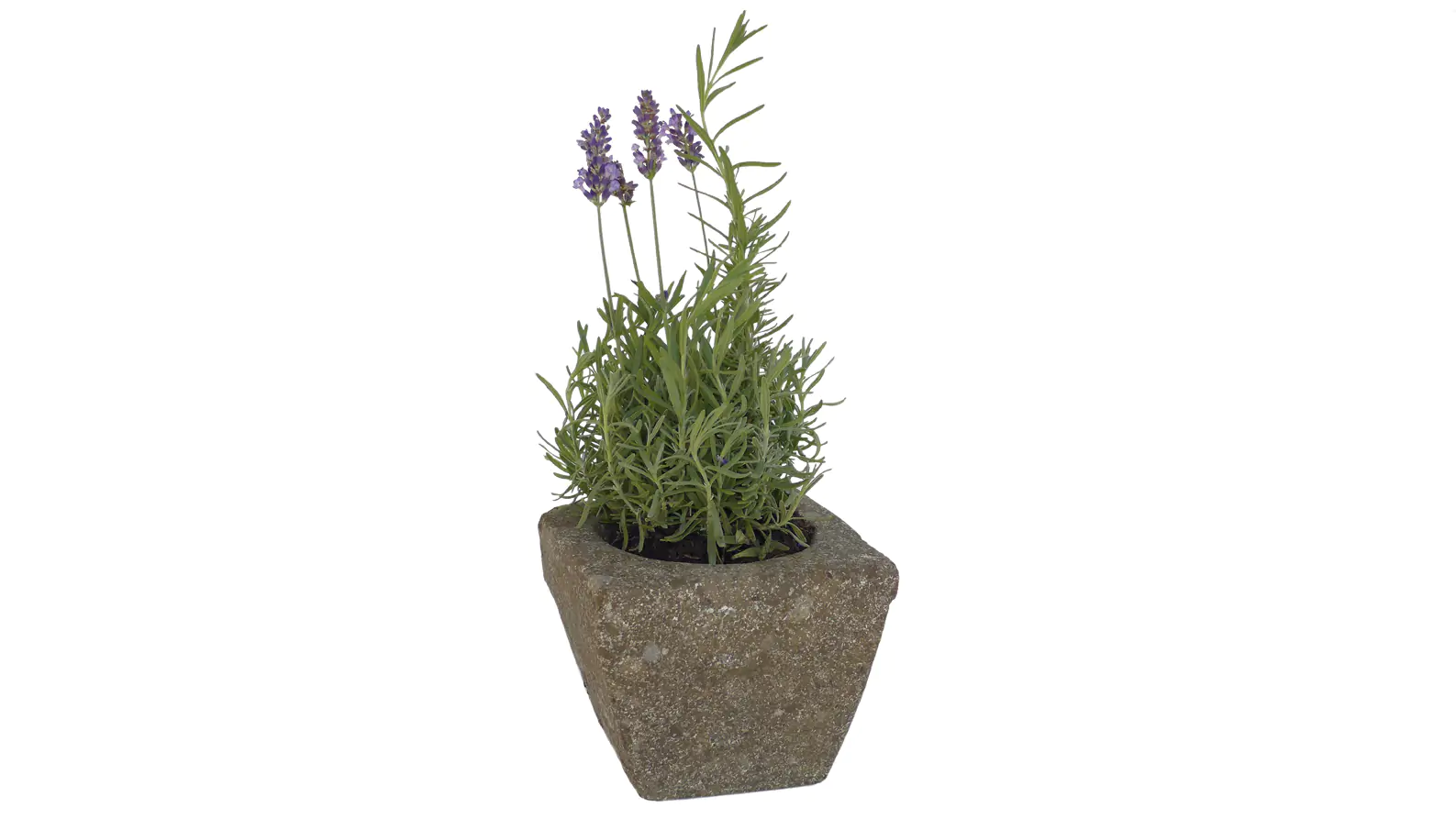  Product image 1 of the product “Planter, square, smooth, 15x15x12,5 cm, natural stone (Basanite), stonemasonry ”