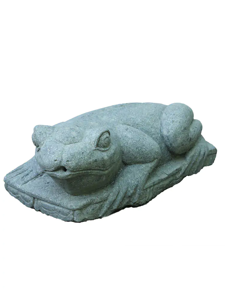  Product image 1 of the product “Frog Surtito, about 60cm long ”