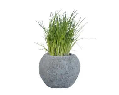  Product image 1 of the product “Planter (herb pot), round, smooth, Ø 20.5 cm ”