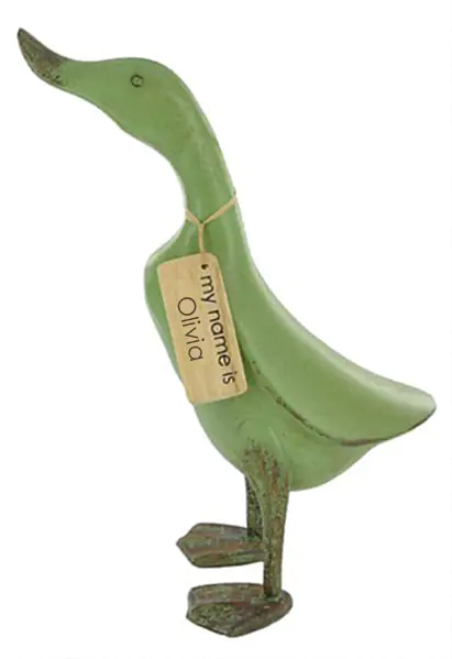  Product image 1 of the product “17 x Bamboo duck, with name tag, green Carton with 9xS, 5xM, 3xL ”