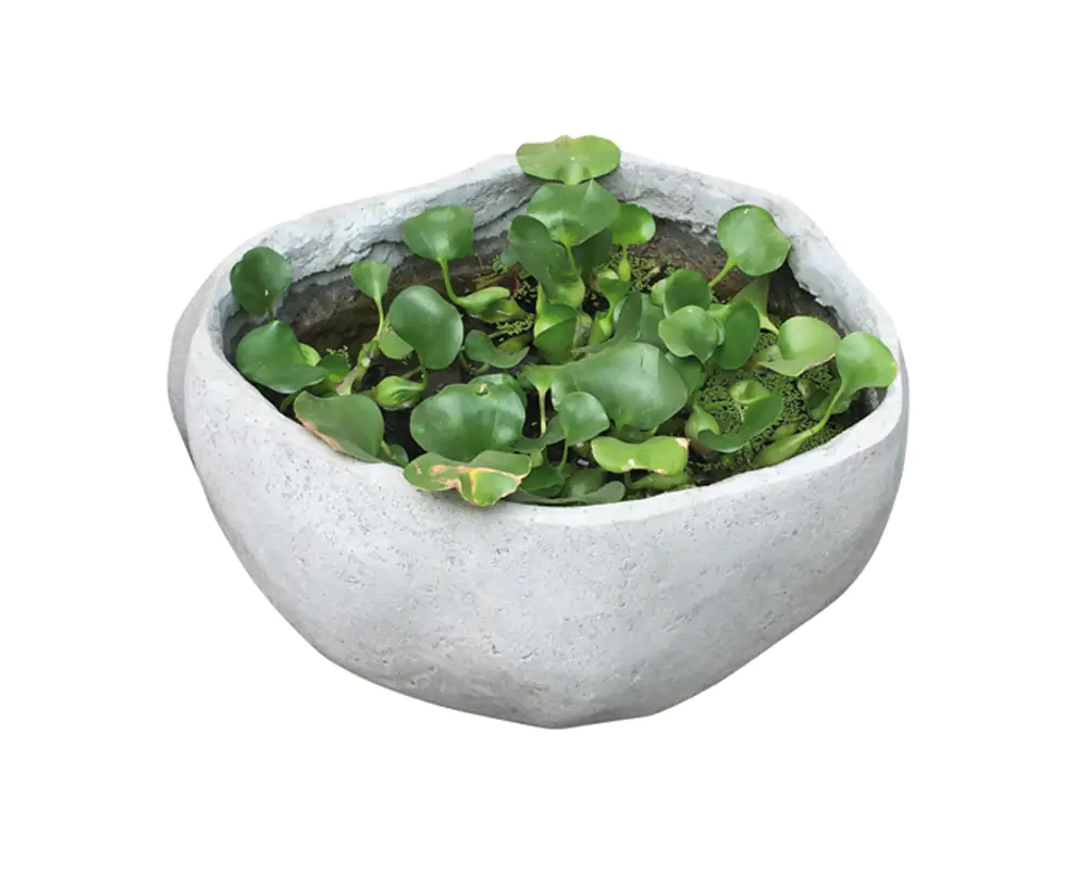  Product image 1 of the product “Water bowl, 30 cm height casted stone, ”