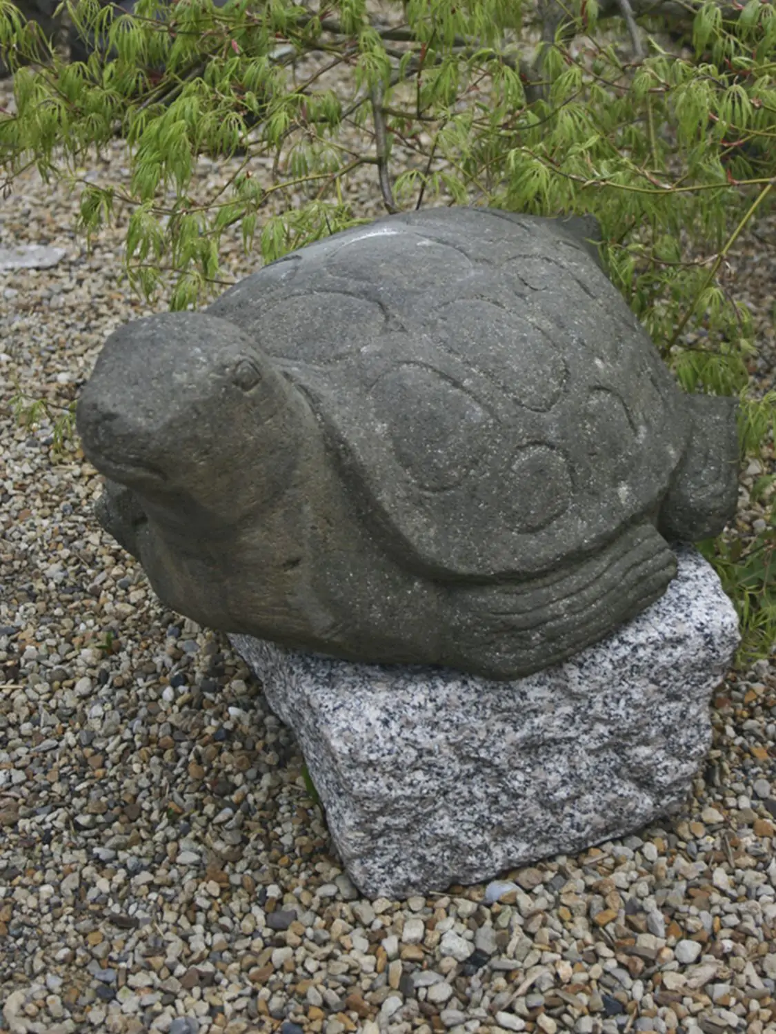  Product image 2 of the product “Turtle, ca  60cm long, antique finish ”