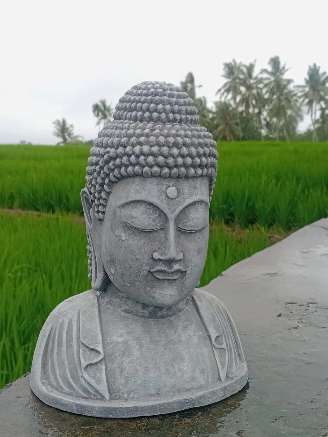  Product image 2 of the product “Arjun - Plaque Buddha Head, 21.5cm Height | cast stone ”