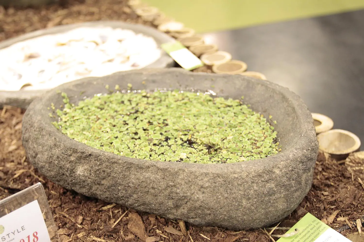  Product image 2 of the product “Round Pond, natural edge, approx 25 x 20 x 6cm. Made from Riverstone ”