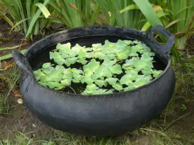  Product image 2 of the product “Water bowl from recyled tire with handle. Vulcanized inside. Dia. 60cm Height 25 / 30cm. ”
