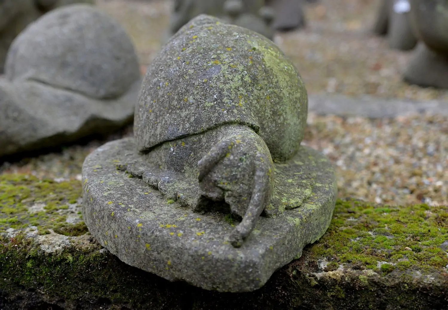  Product image 3 of the product “Lying snail on pedestal ”