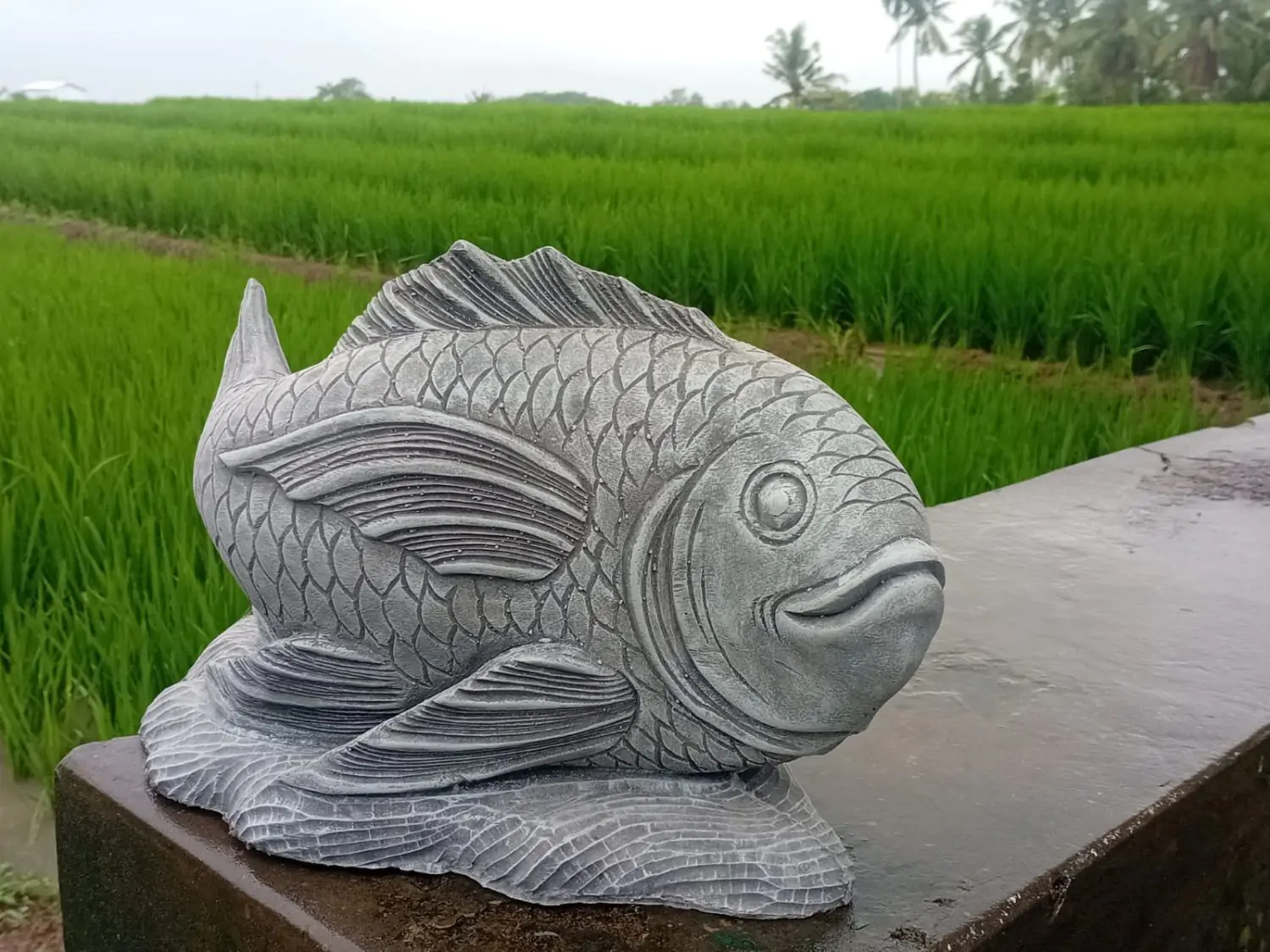  Product image 4 of the product “Dory - Fish, 41cm Length | cast stone ”
